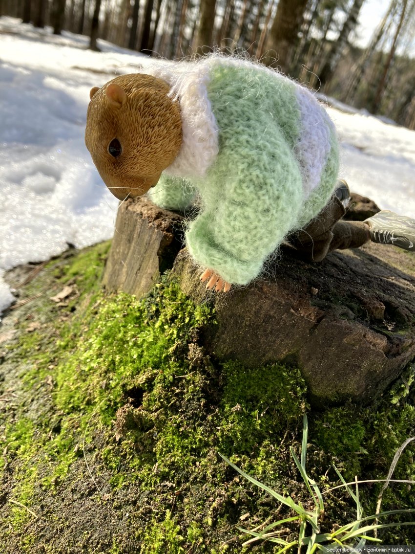 Прогулка по лесу — Коллекционные экшн