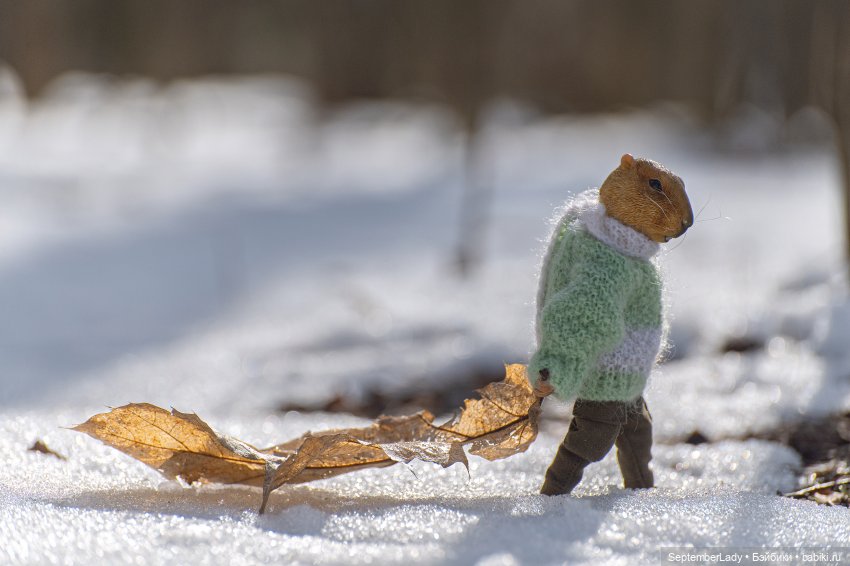 Прогулка по лесу — Коллекционные экшн