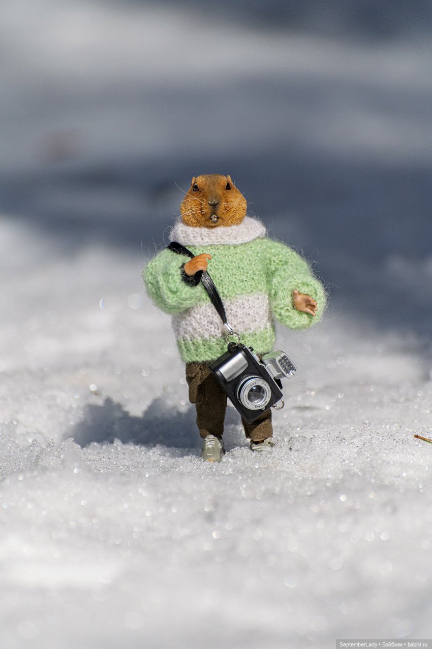 Прогулка по лесу — Коллекционные экшн (фото 2)