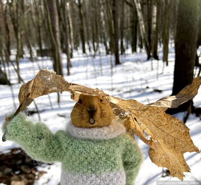 Прогулка по лесу — Коллекционные экшн