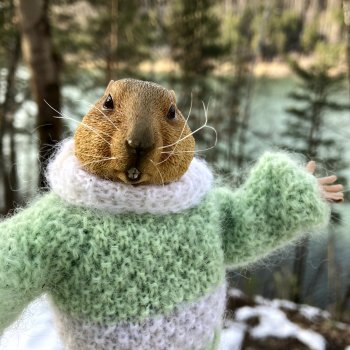 Прогулка по лесу