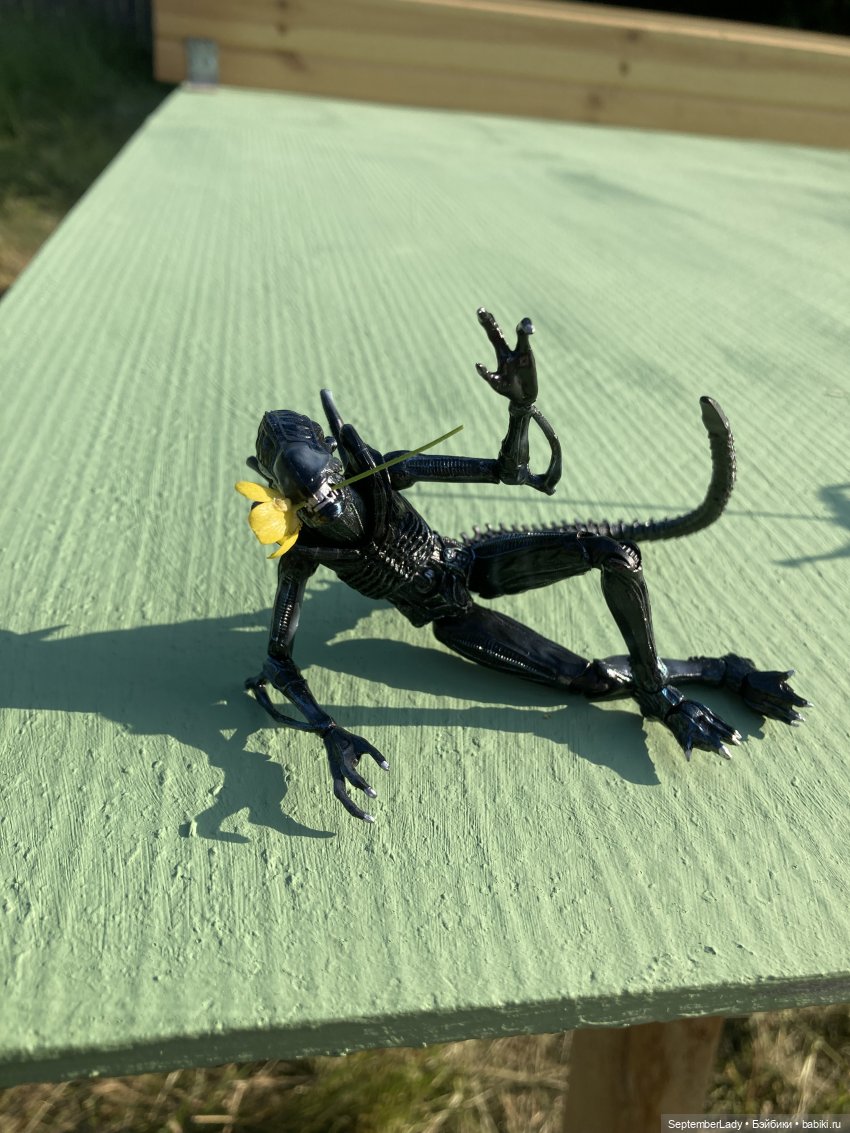 Как Чуня на дачу ездила или Чужая на даче. Часть 1 (фото 10)