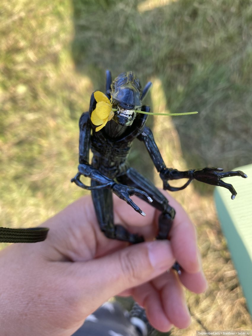 Как Чуня на дачу ездила или Чужая на даче. Часть 1