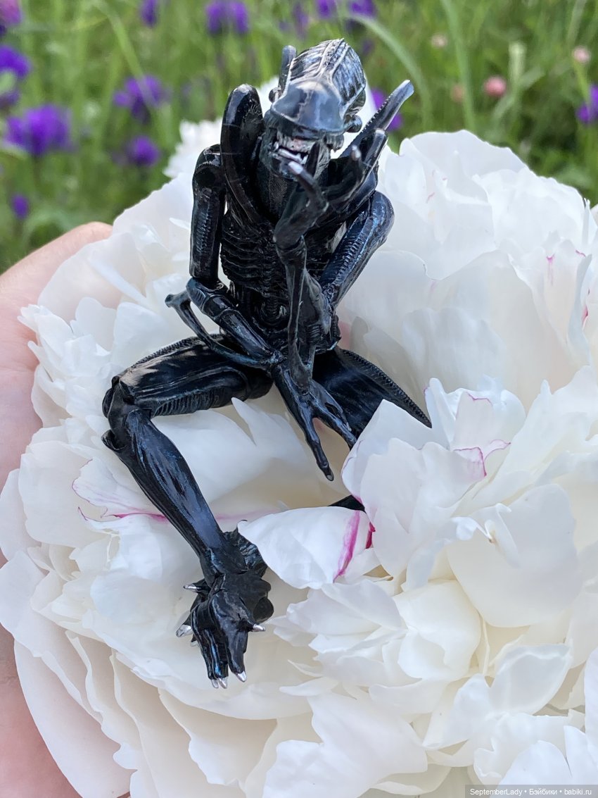 Как Чуня на дачу ездила или Чужая на даче. Часть 1