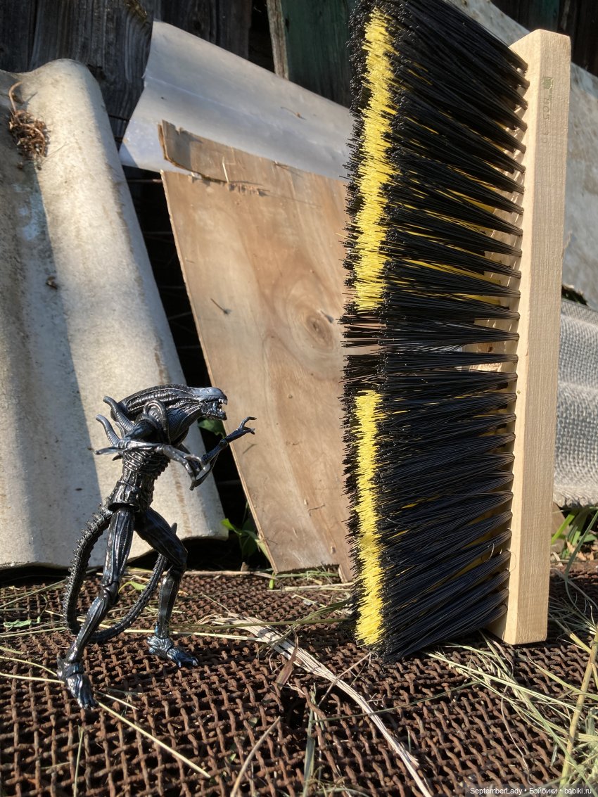 Как Чуня на дачу ездила или Чужая на даче. Часть 1 (фото 4)