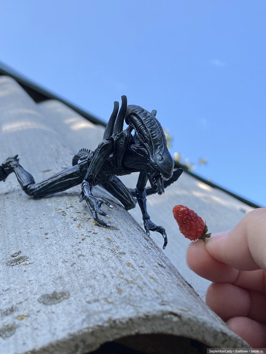 Как Чуня на дачу ездила или Чужая на даче. Часть 1