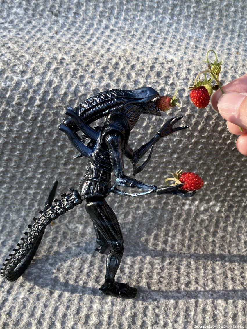 Как Чуня на дачу ездила или Чужая на даче. Часть 1