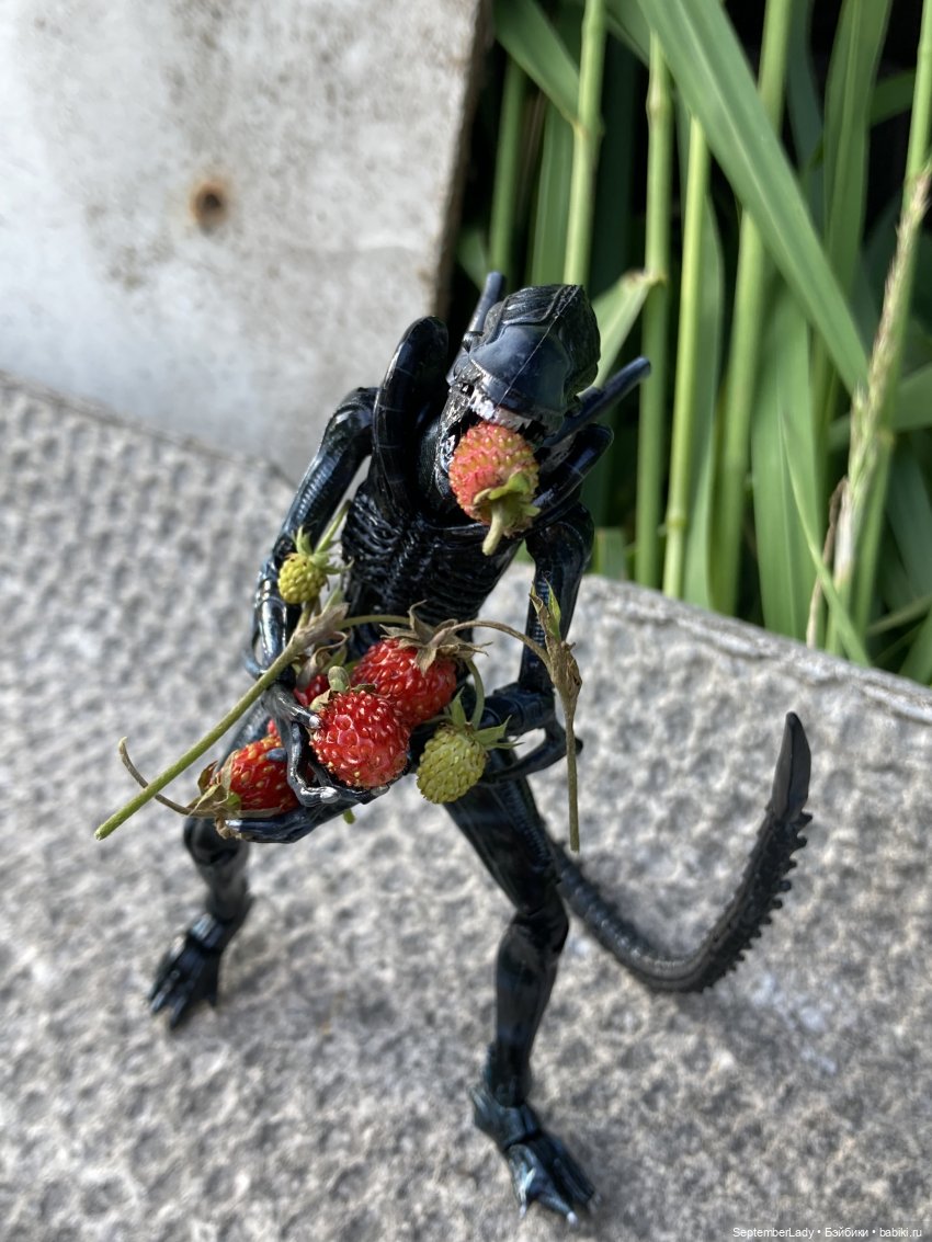 Как Чуня на дачу ездила или Чужая на даче. Часть 1