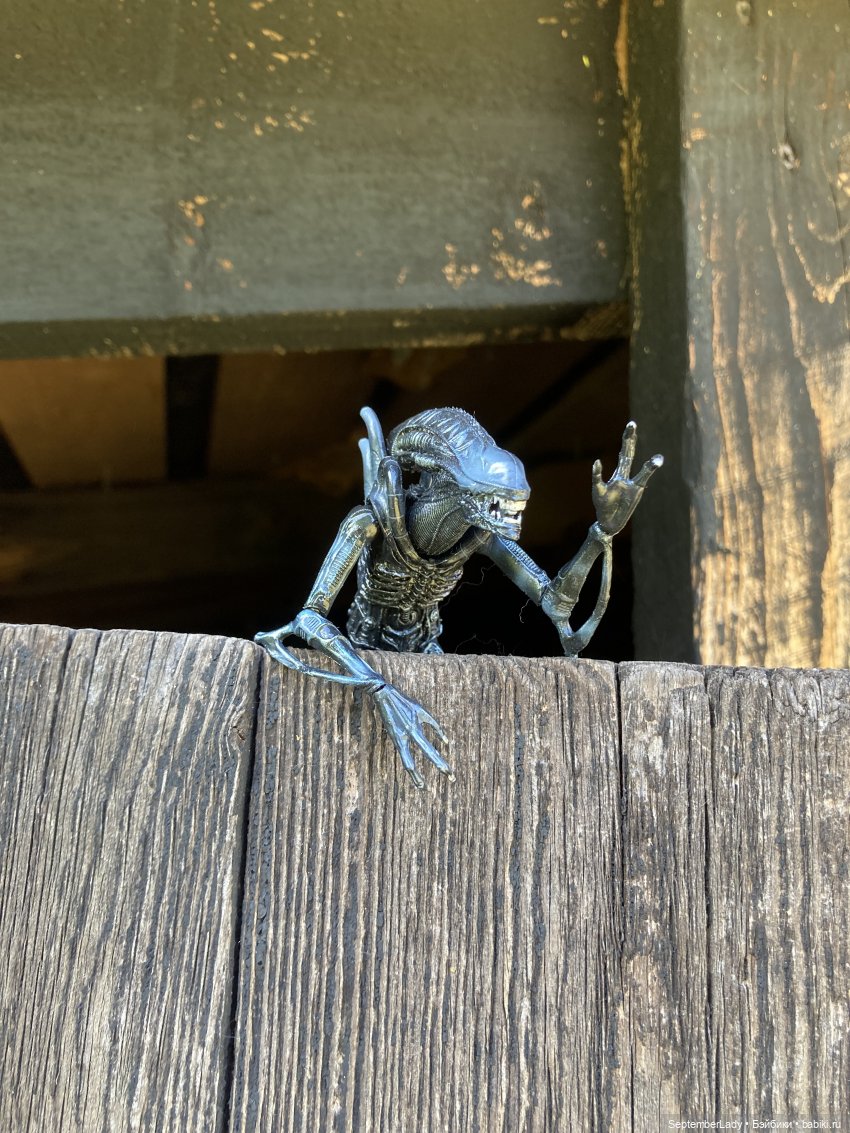 Как Чуня на дачу ездила или Чужая на даче. Часть 1 (фото 8)