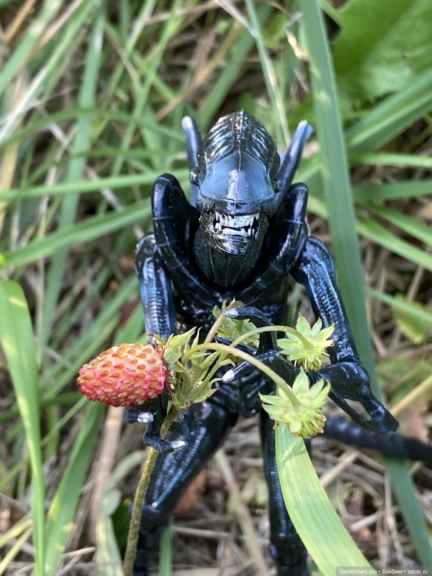 Как Чуня на дачу ездила или Чужая на даче. Часть 1