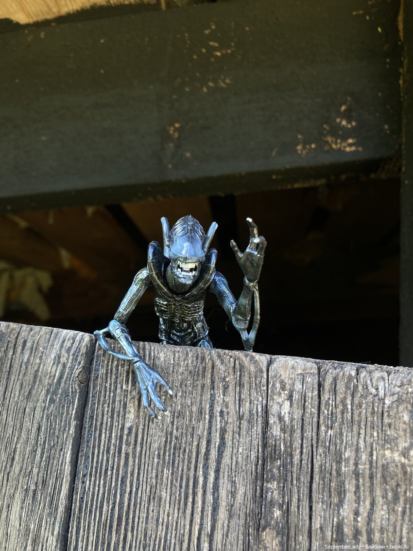 Как Чуня на дачу ездила или Чужая на даче. Часть 1 (фото 7)