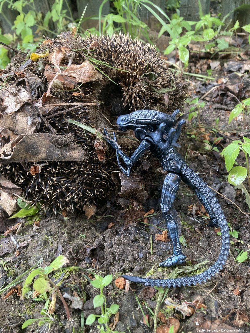 Как Чуня на дачу ездила или Чужая на даче. Часть 1