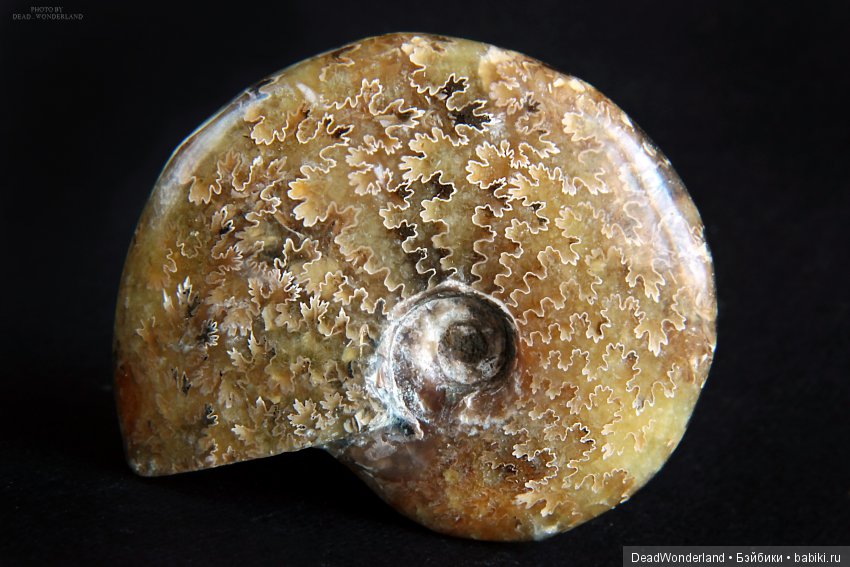 Коллекционирование минералов (фото 2)