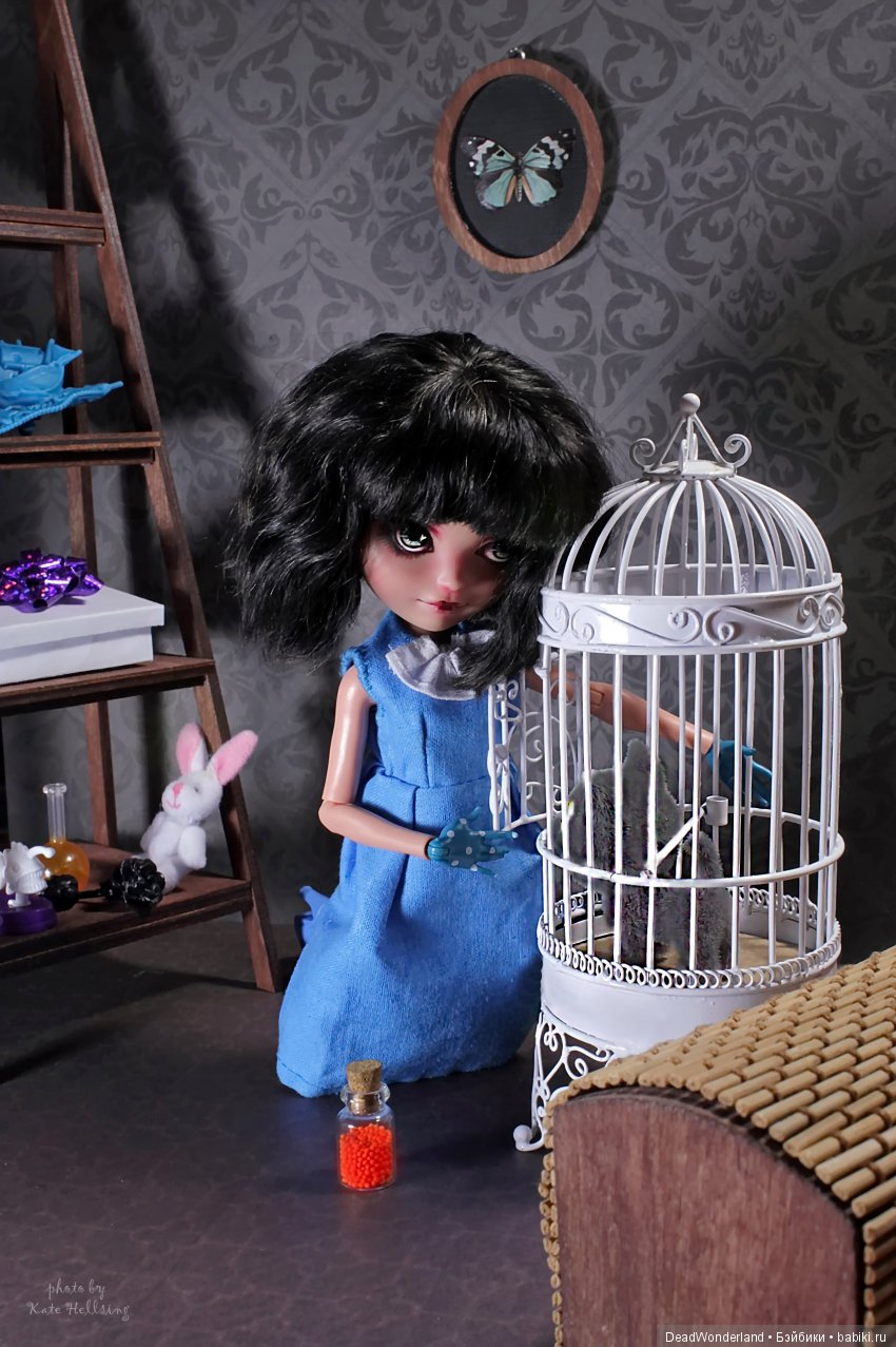 Закос под Фрэн Боу — Куклы Monster High и Ever After High: G1 (фото 3)