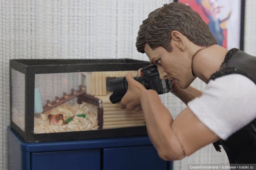 Жилище — Румбоксы и кукольные интерьеры: фото