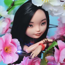 Цветение сакуры