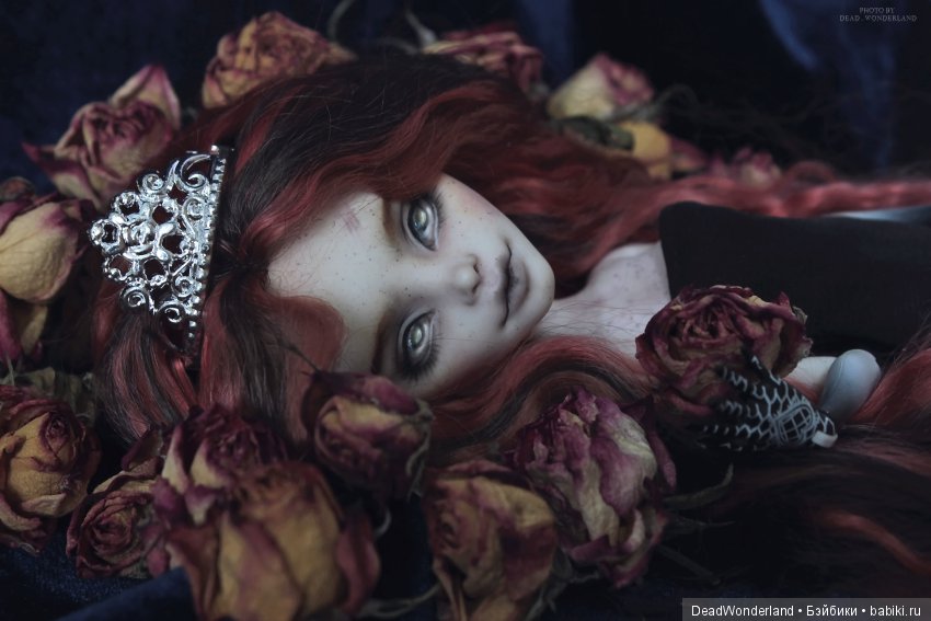 Dead beauty — Куклы Monster High и Ever After High: G1