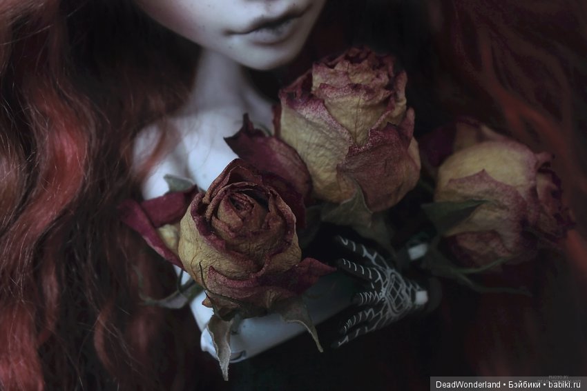 Dead beauty — Куклы Monster High и Ever After High: G1 (фото 3)