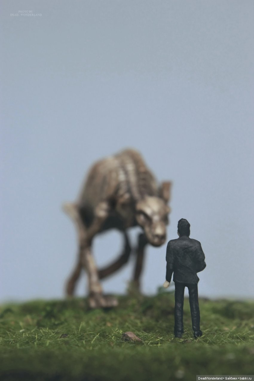 Напоследок — Болталка и разговоры обо всем: жизнь