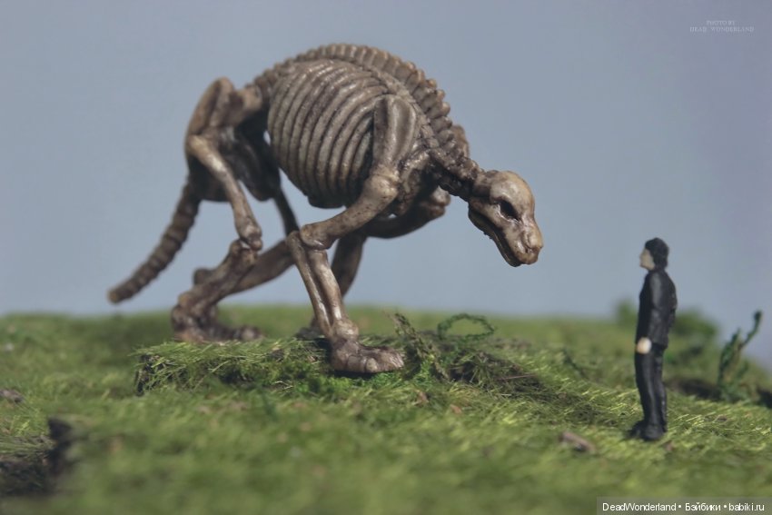 Напоследок — Болталка и разговоры обо всем: жизнь (фото 2)