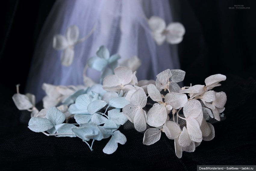 Dust garden — Куклы Monster High и Ever After High: G1