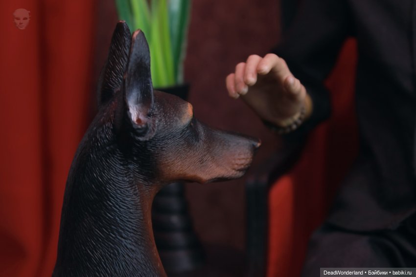 Старый новый парень — Гибриды шарнирных кукол (не БЖД): подбор тела (фото 7)