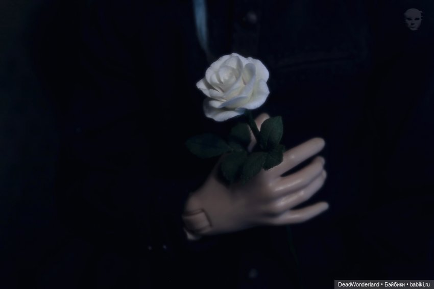 Трогательная недолговечность (фото 3)