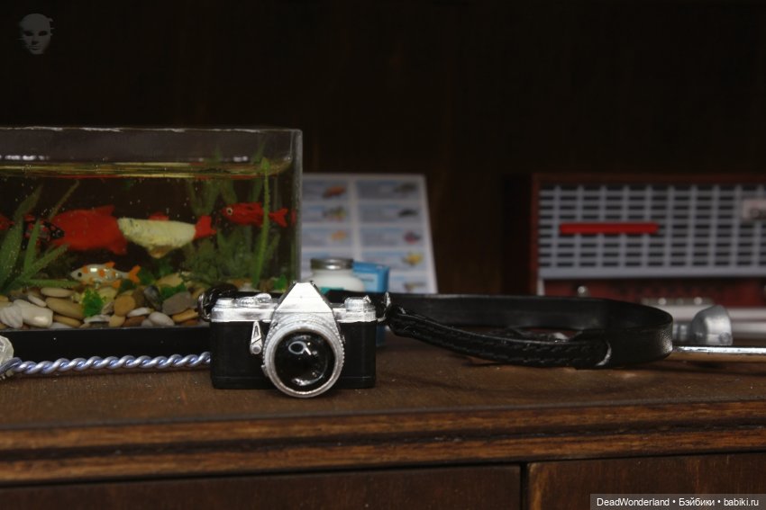 Что-то старое, что-то новое, что-то вечное