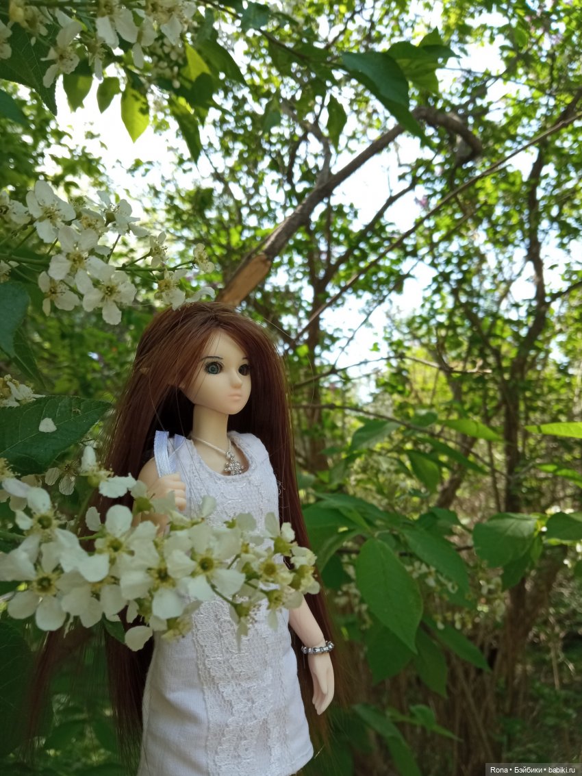 Прогулки с эльфой — Куклы и тела Obitsu (Обитсу): 1/6 (фото 5)