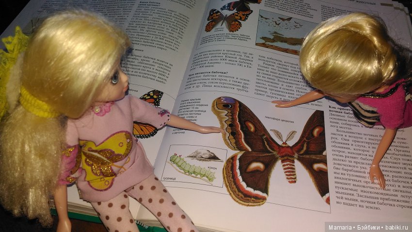 мокси, игровые