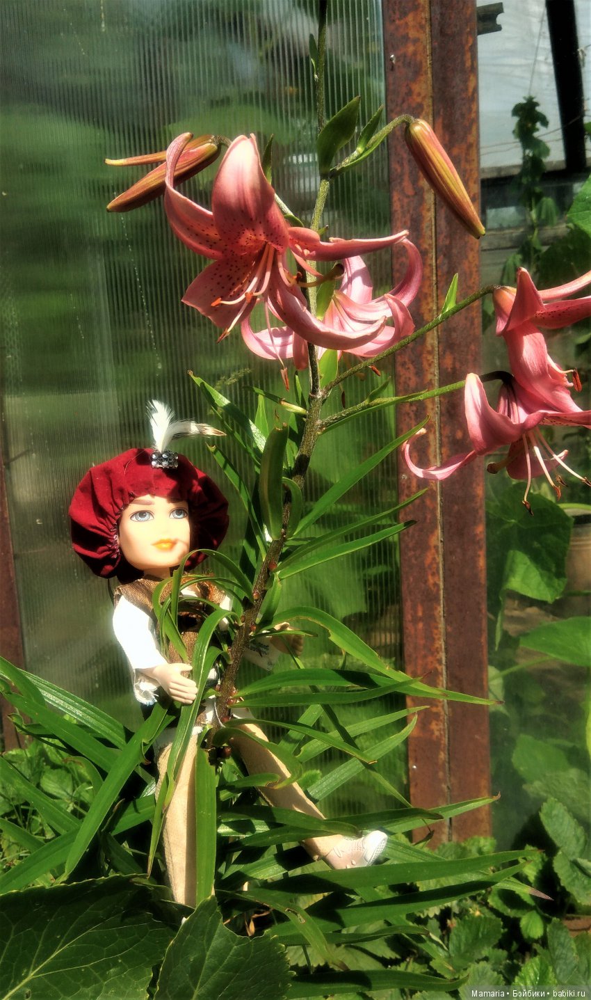 братц, подделка