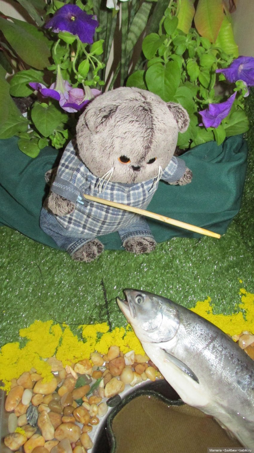 О котах, взаимопонимании и чуть-чуть о рыбалке (фото 9)