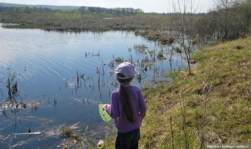 О котах, взаимопонимании и чуть-чуть о рыбалке