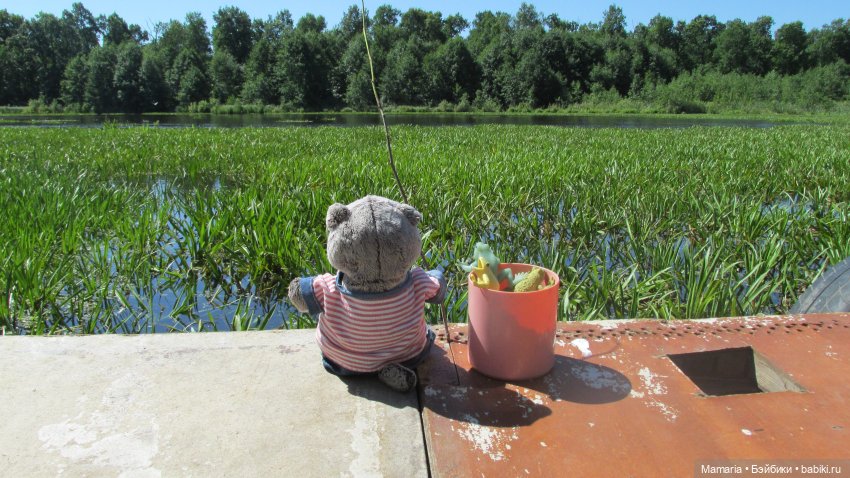 О котах, взаимопонимании и чуть-чуть о рыбалке (фото 6)