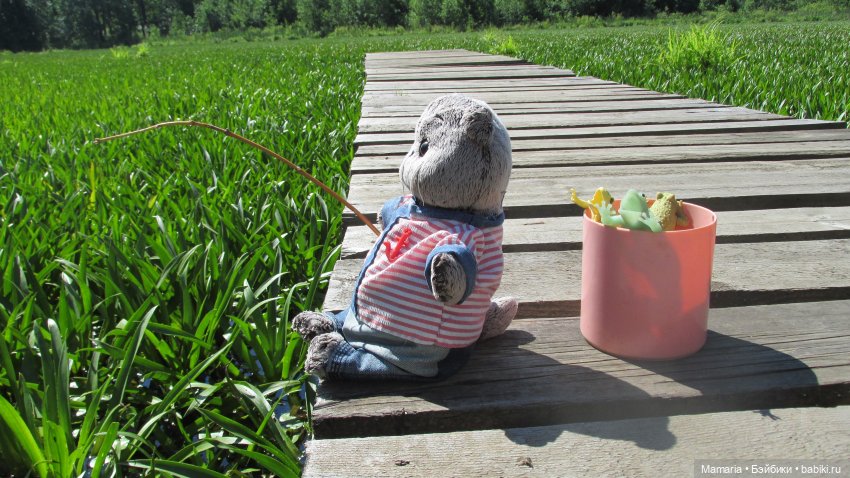 О котах, взаимопонимании и чуть-чуть о рыбалке (фото 7)