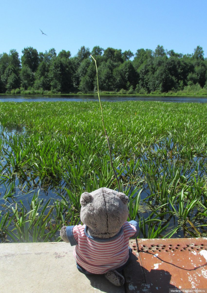 О котах, взаимопонимании и чуть-чуть о рыбалке