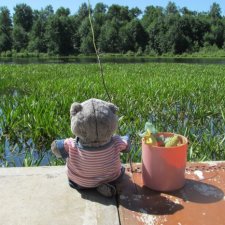 О котах, взаимопонимании и чуть-чуть о рыбалке