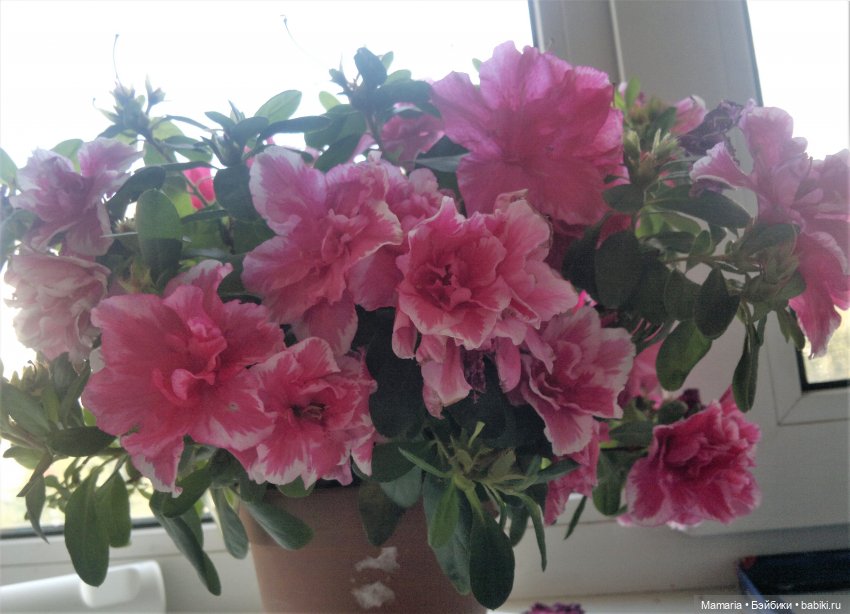 Поздравляем!