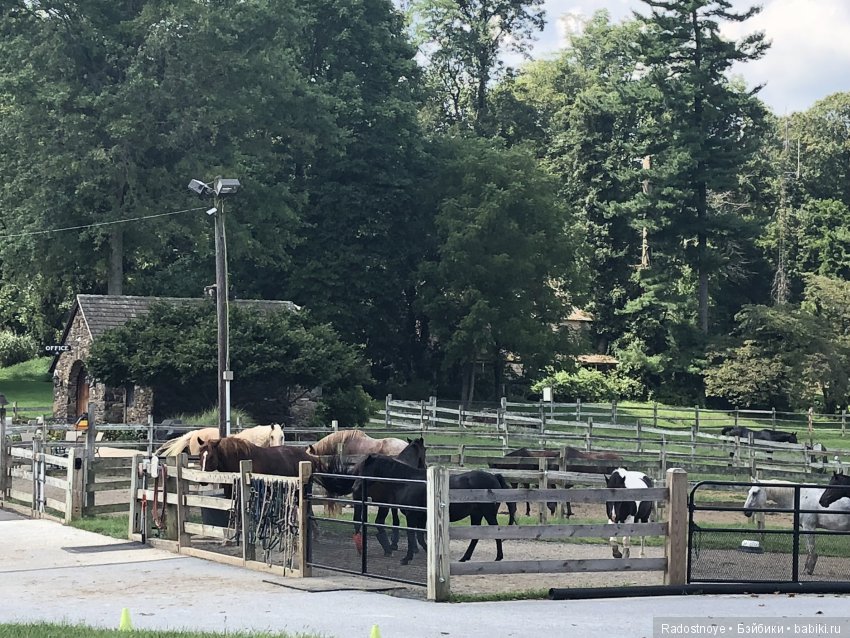 Прогулка на лошадях — Куклы A Girl for All Time (AGAT): Девочка на все времена (фото 2)
