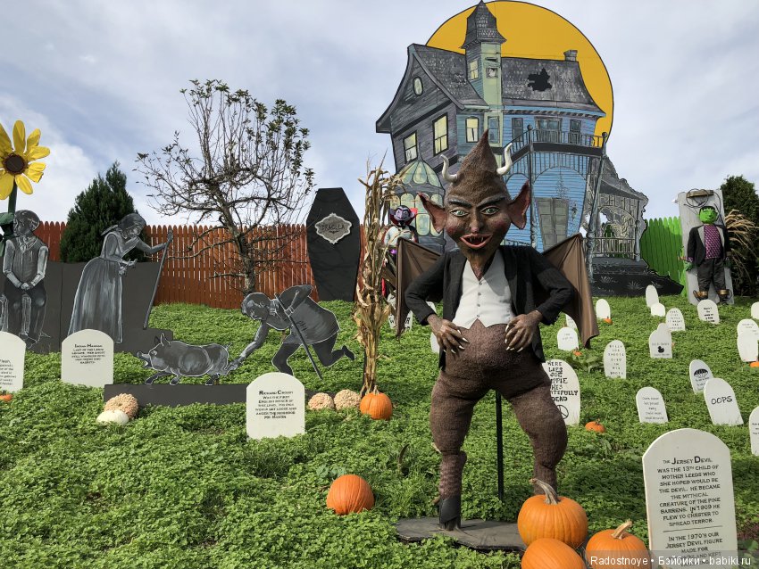 Азалия на празднике урожая (фото 7)