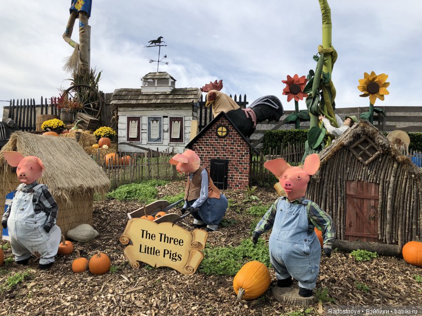 Азалия на празднике урожая (фото 4)