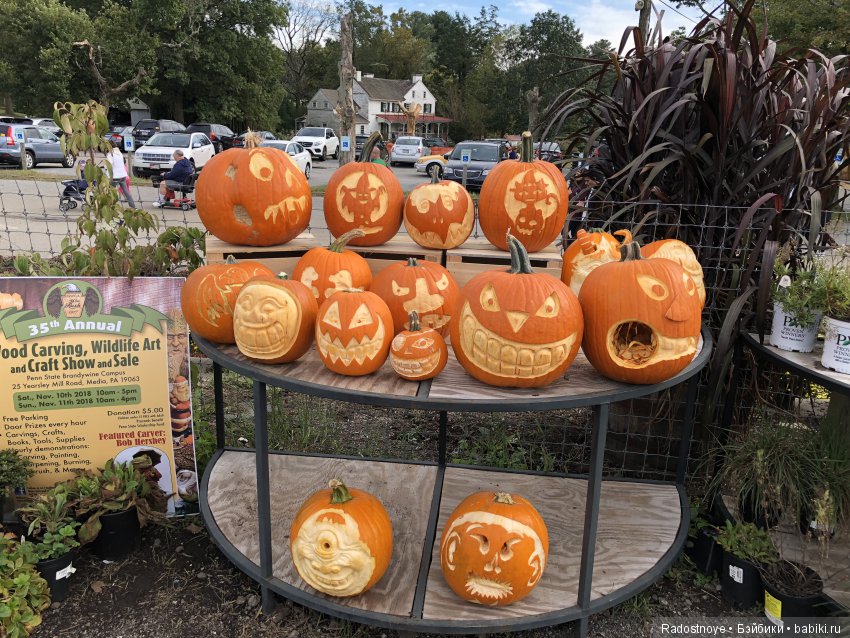 Азалия на празднике урожая (фото 9)