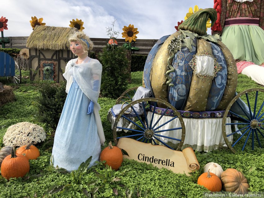 Азалия на празднике урожая (фото 5)