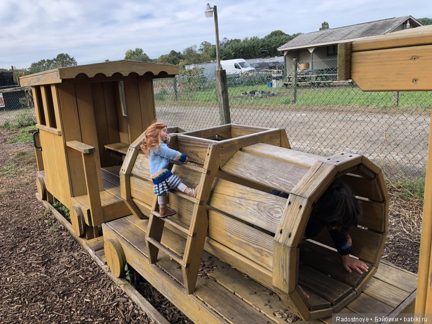 Азалия на празднике урожая