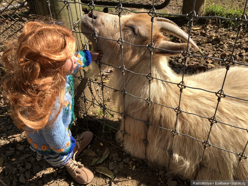 Азалия на празднике урожая