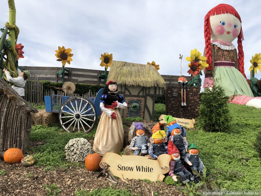 Азалия на празднике урожая (фото 3)