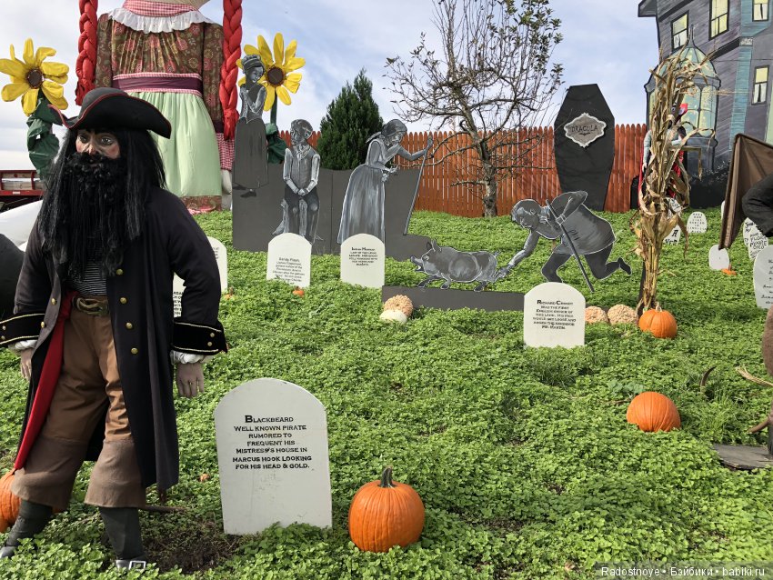 Азалия на празднике урожая (фото 6)