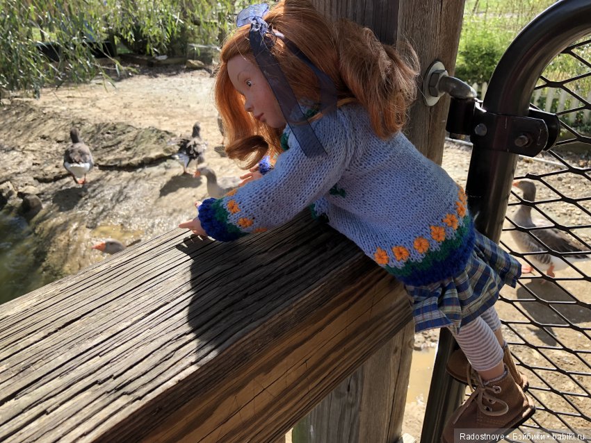 Азалия на празднике урожая