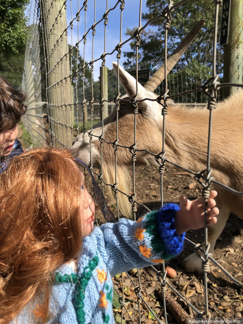 Азалия на празднике урожая