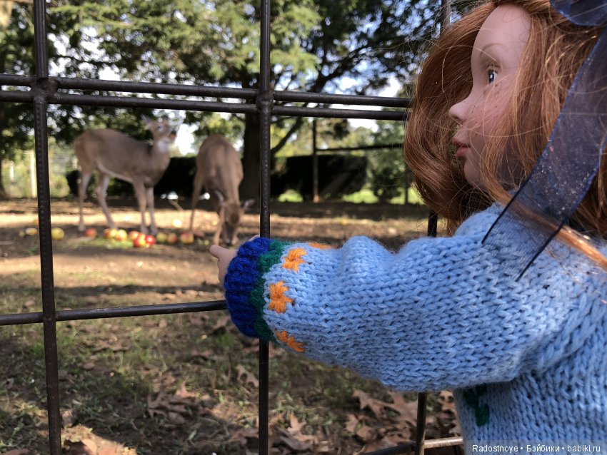 Азалия на празднике урожая